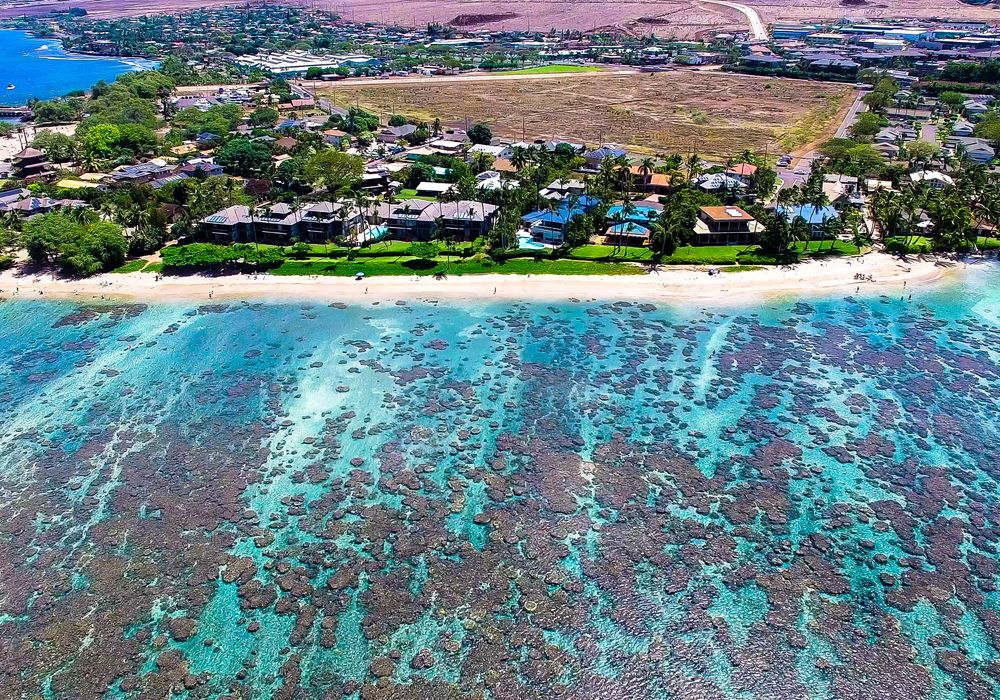 Maui single family homes for sale